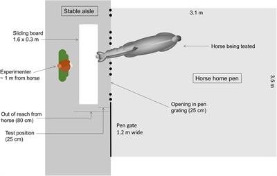 Horses’ (Equus caballus) Ability to Solve Visible but Not Invisible Displacement Tasks Is Associated With Frustration Behavior and Heart Rate